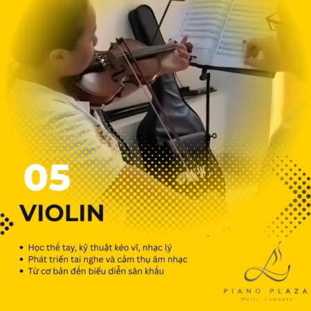 Violin