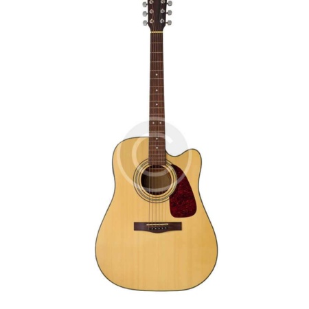 Acoustic Guitar