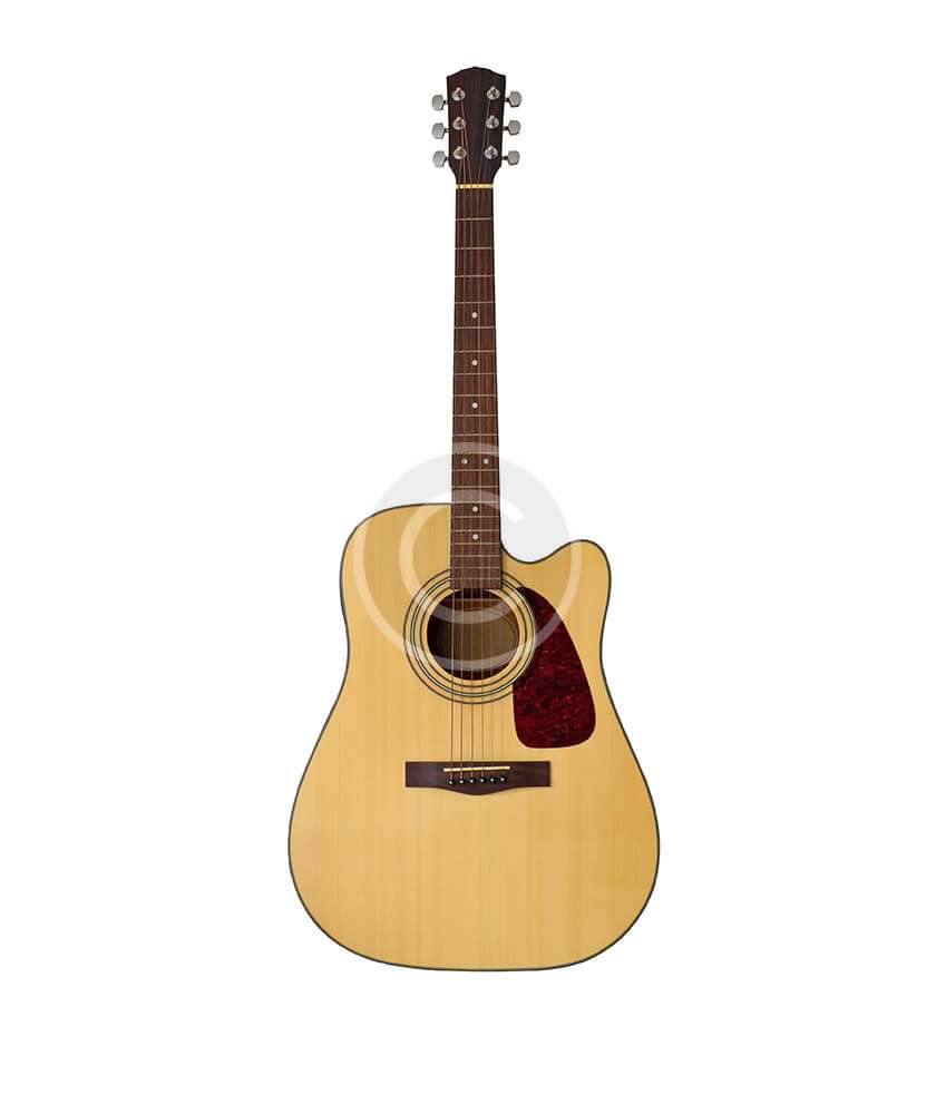Acoustic Guitar